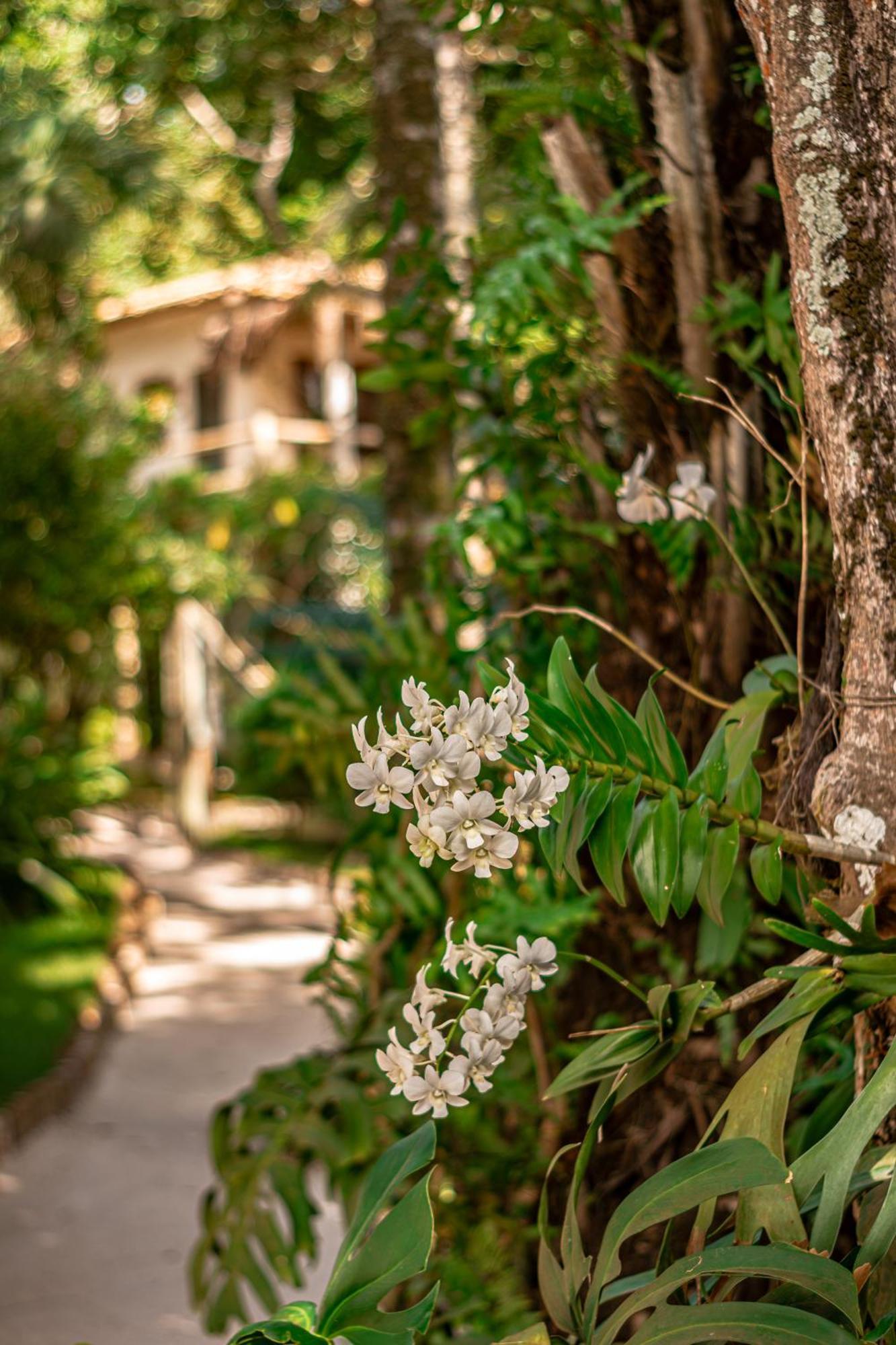Hotel Boutique Bahia Bonita 托兰克索 外观 照片